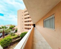 Resale - Apartament / Duplex - Orihuela Costa - La Zenia
