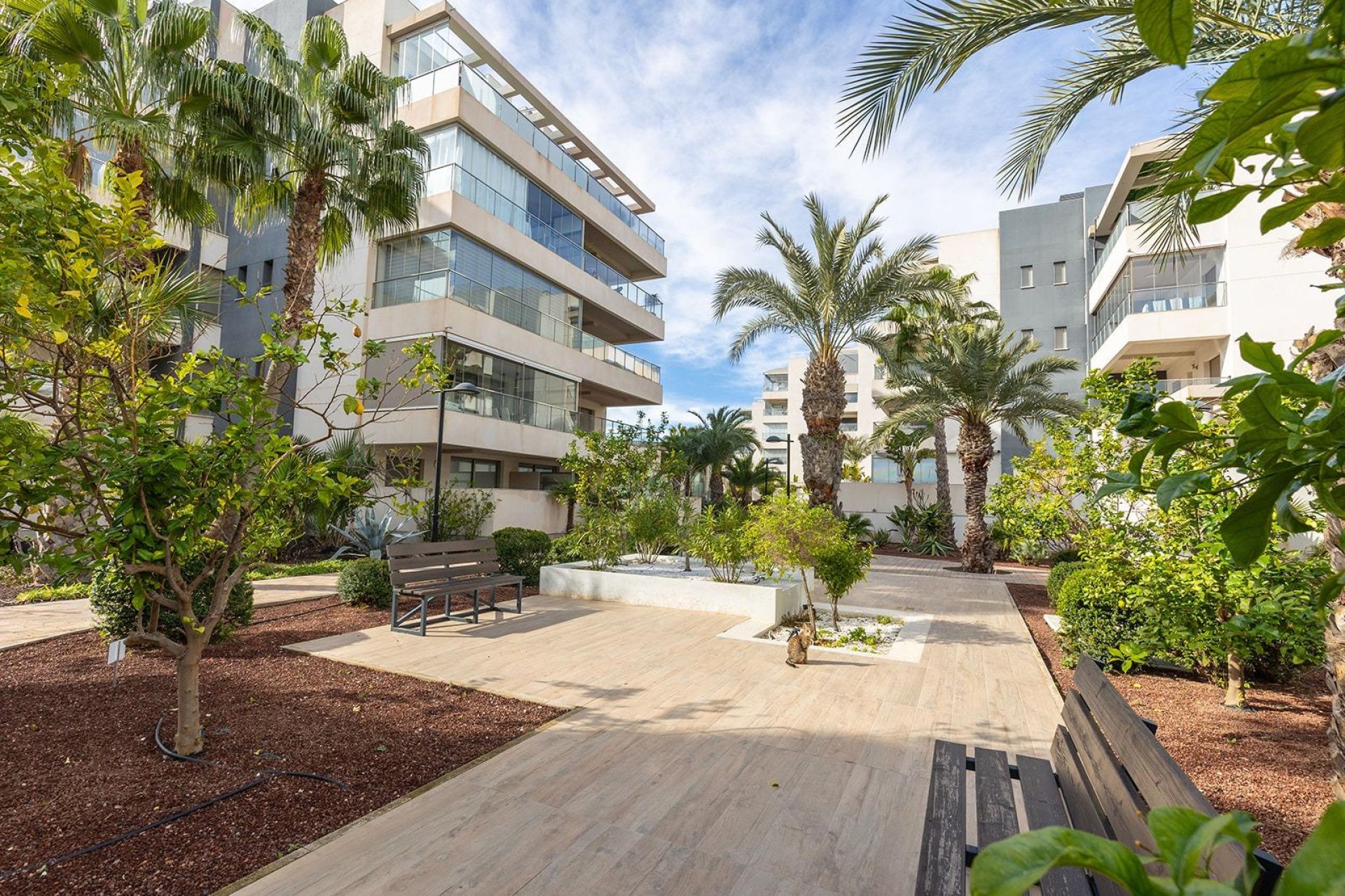 Resale - Apartament / Duplex - Orihuela Costa - Los Dolses