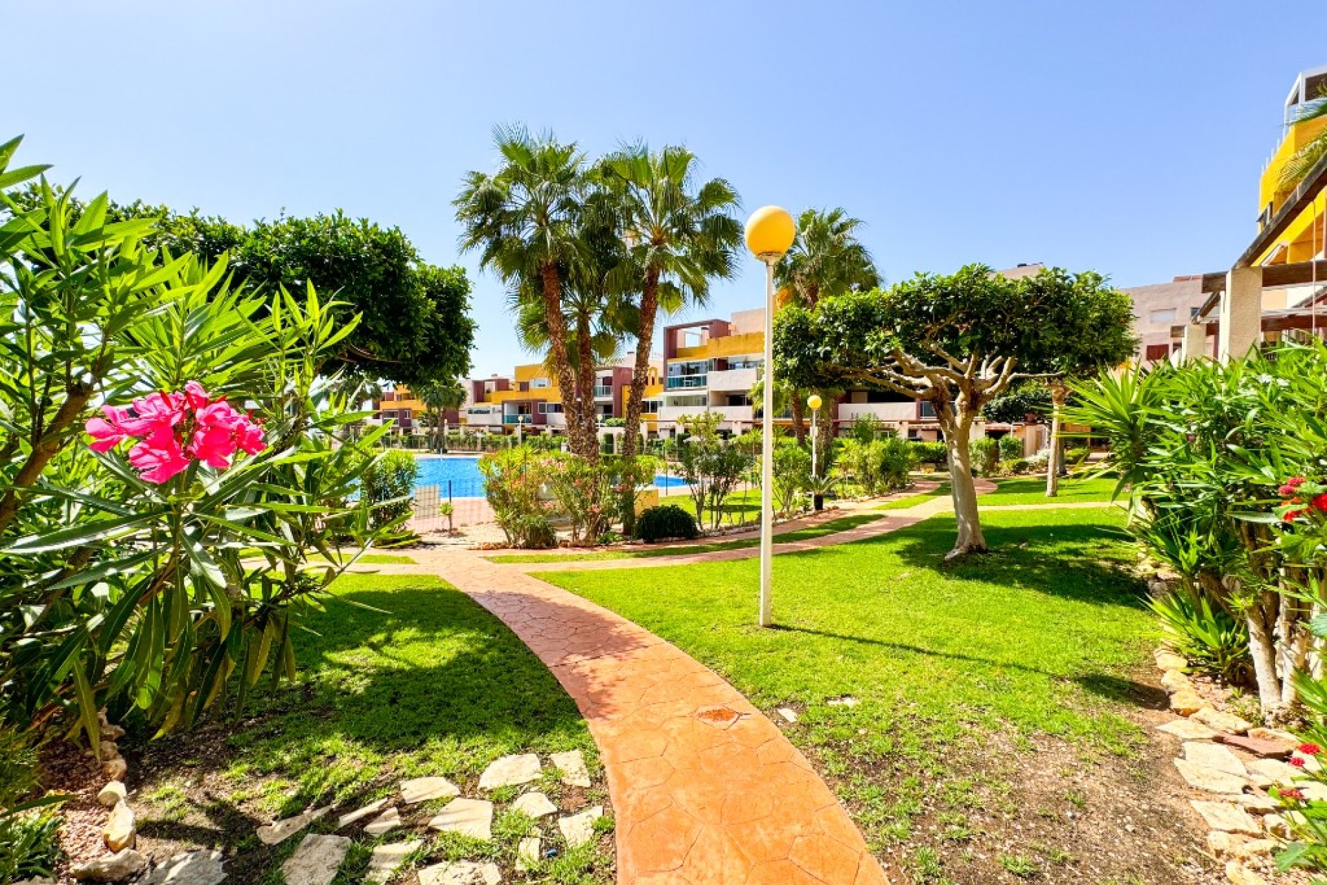 Resale - Apartament / Duplex - Orihuela Costa - Playa Flamenca