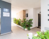 Resale - Apartament / Duplex - Orihuela Costa - Playa Flamenca