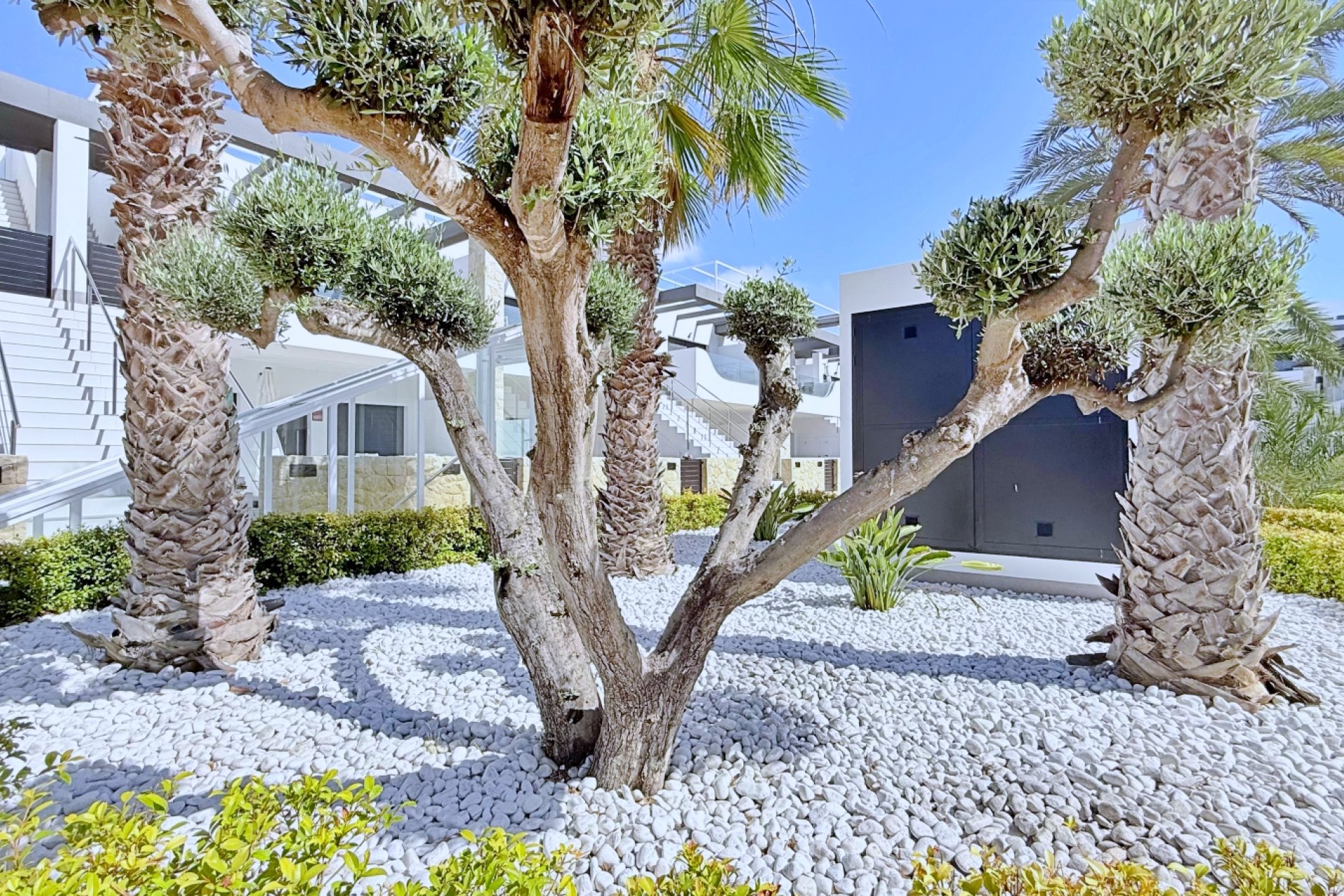 Resale - Apartament / Duplex - Orihuela Costa - Punta Prima