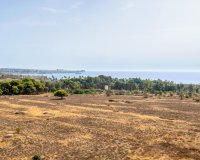 Resale - Apartament / Duplex - Orihuela Costa - Punta Prima