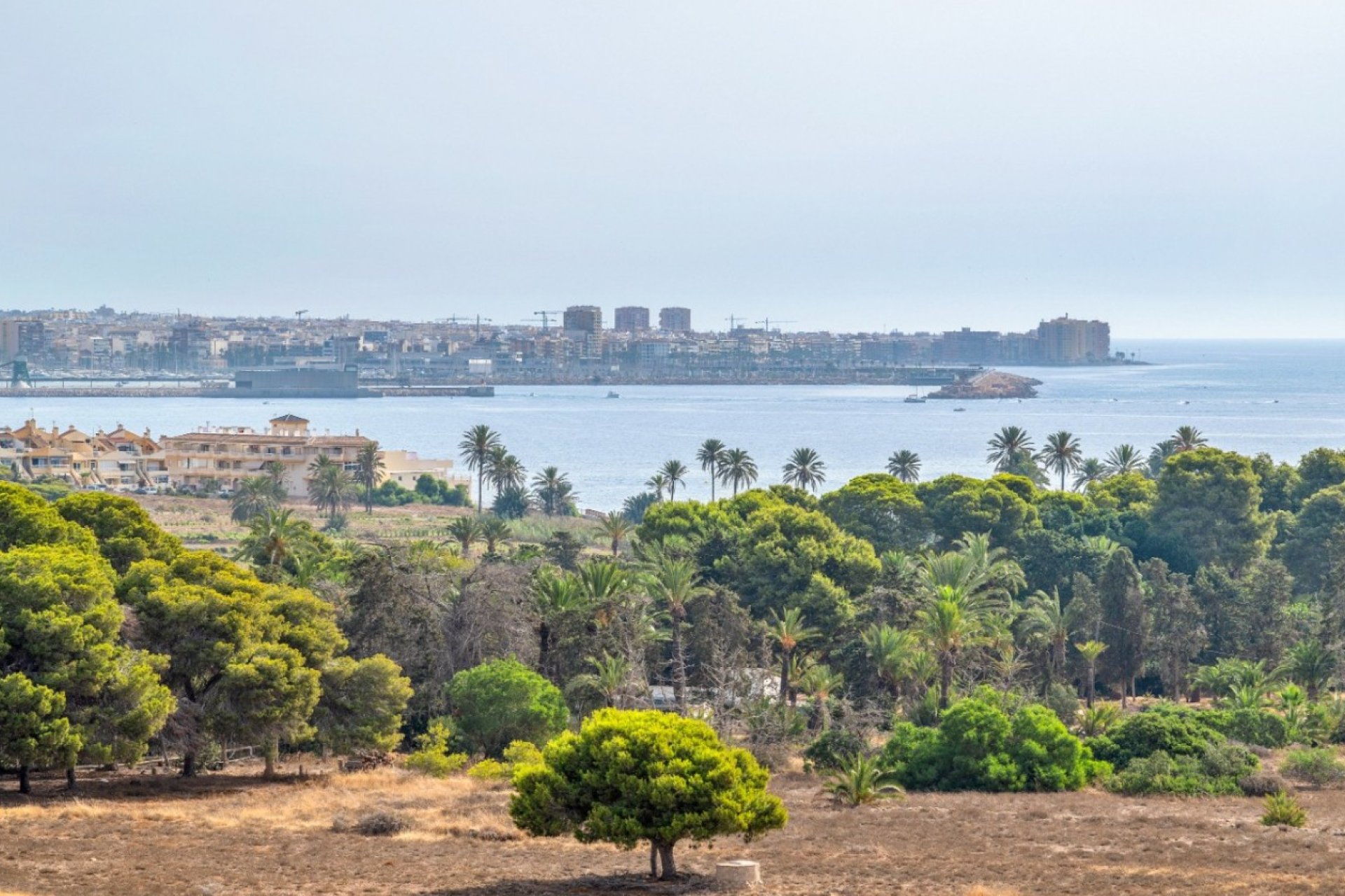 Resale - Apartament / Duplex - Orihuela Costa - Punta Prima