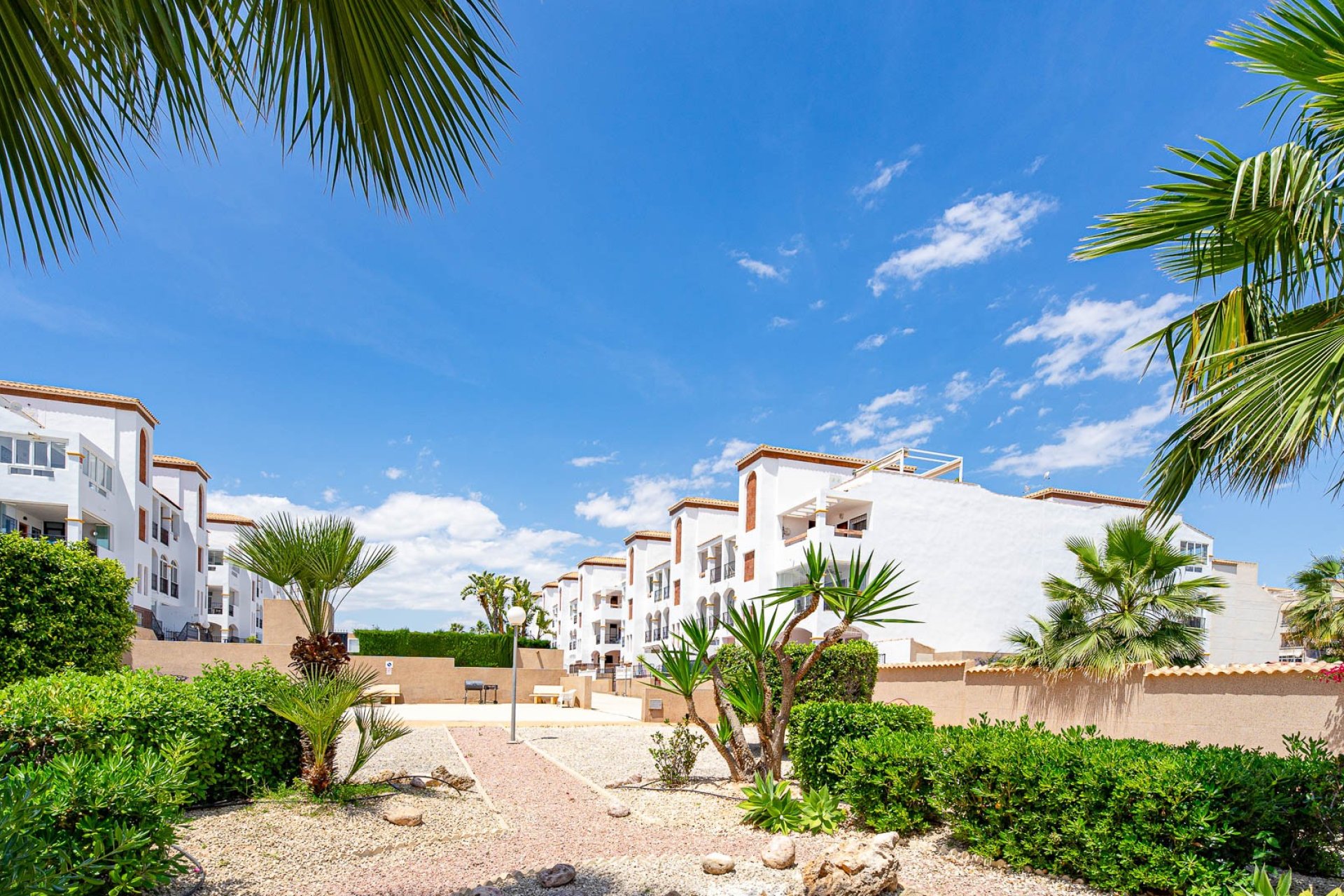 Resale - Apartament / Duplex - Punta Prima - La Ciñuelica