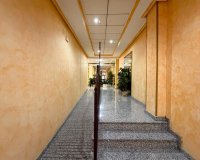 Resale - Apartament / Duplex - Torrevieja - Estacion de autobuses