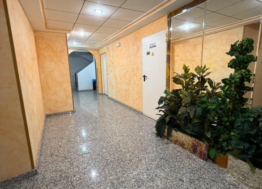 Resale - Apartament / Duplex - Torrevieja - Estacion de autobuses