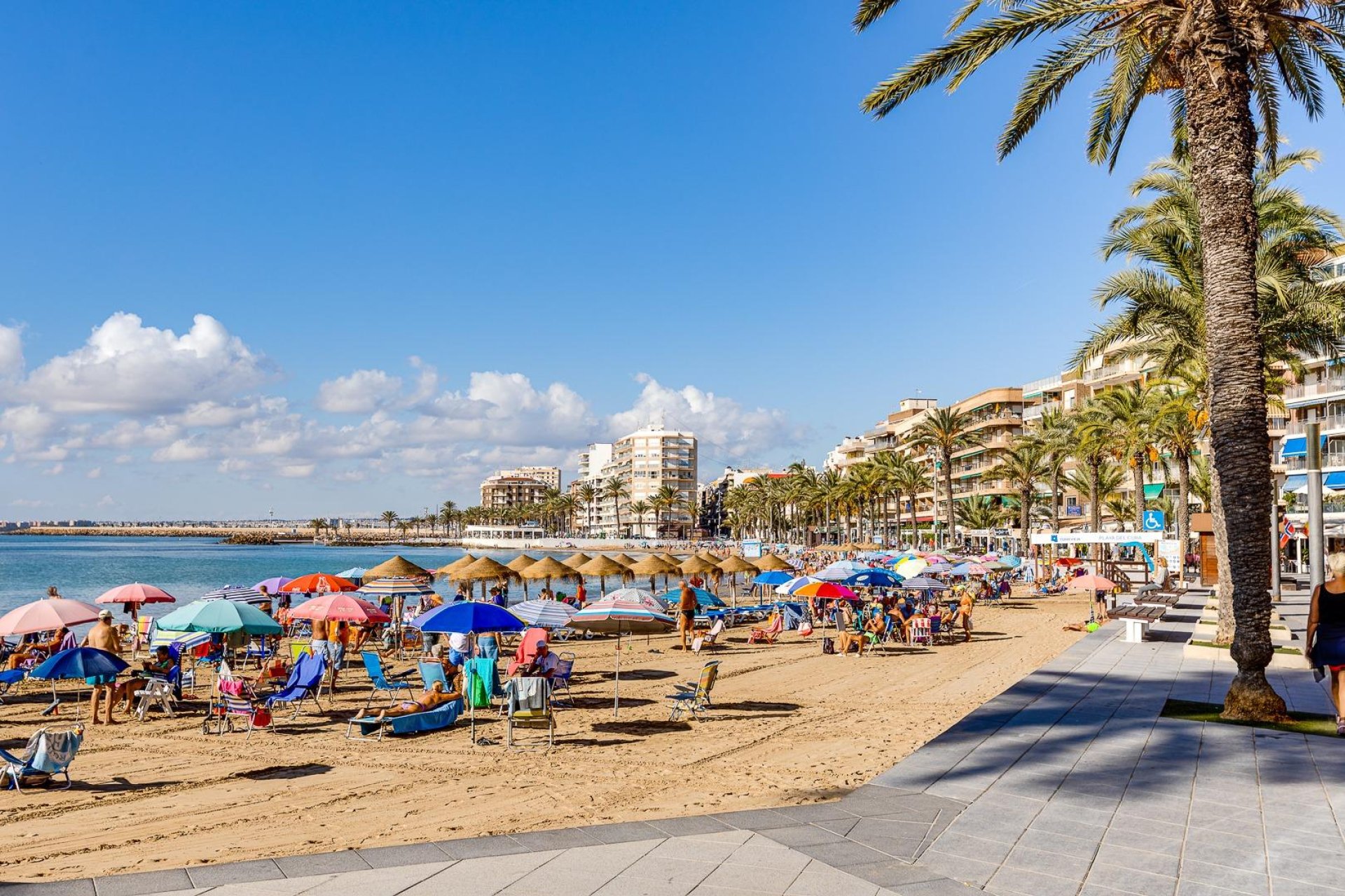Resale - Apartament / Duplex - Torrevieja - Habaneras