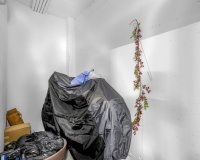 Resale - Apartament / Duplex - Torrevieja - Los Balcones - Los Altos del Edén
