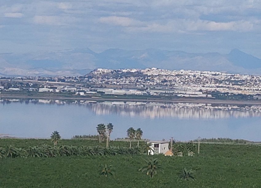 Resale - Apartament / Duplex - Torrevieja - Los Balcones