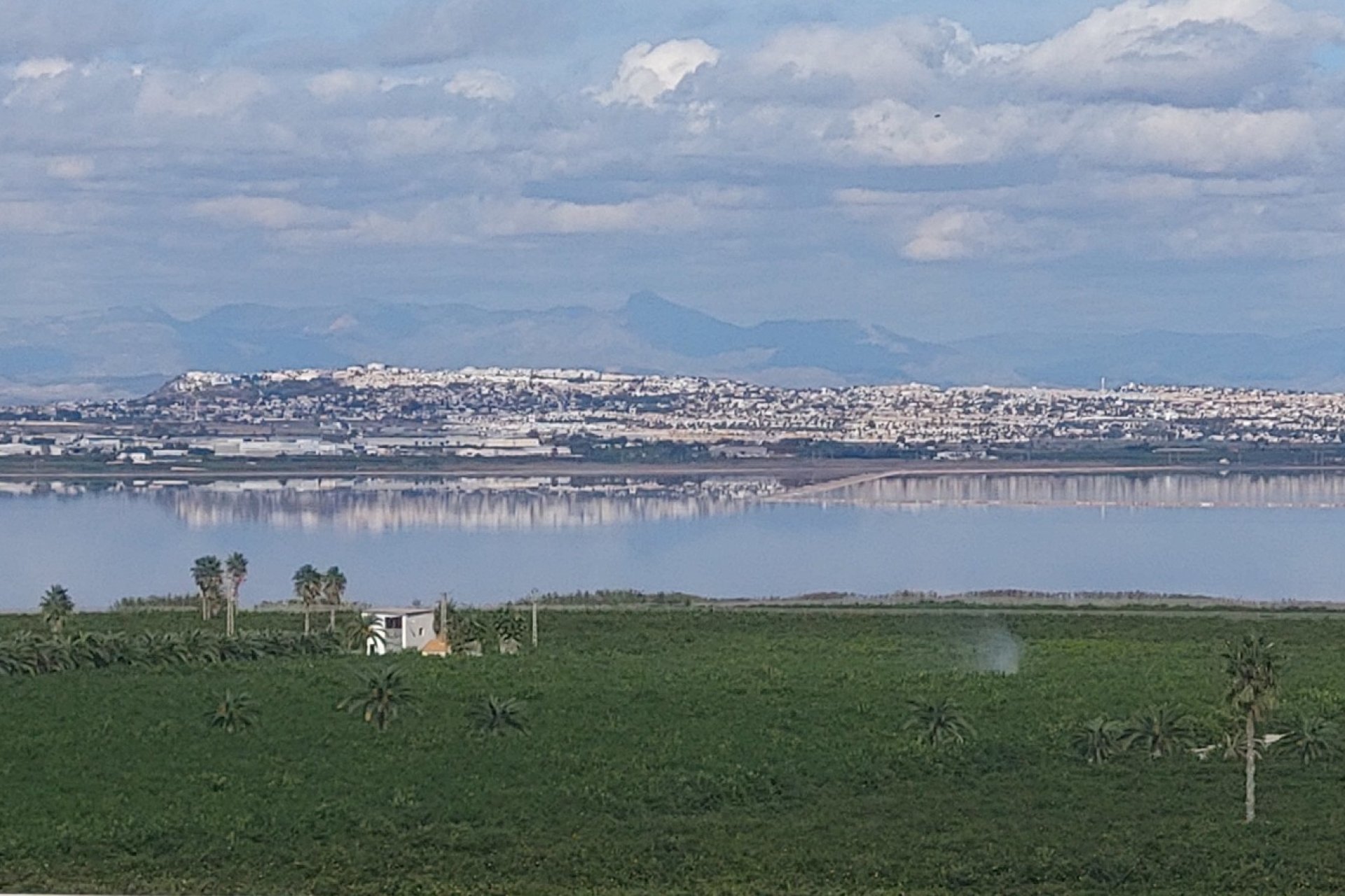 Resale - Apartament / Duplex - Torrevieja - Los Balcones