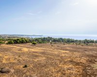 Resale - Apartament / Duplex - Torrevieja - Punta Prima