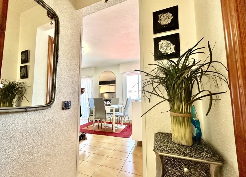 Resale - Apartament / Duplex - Torrevieja