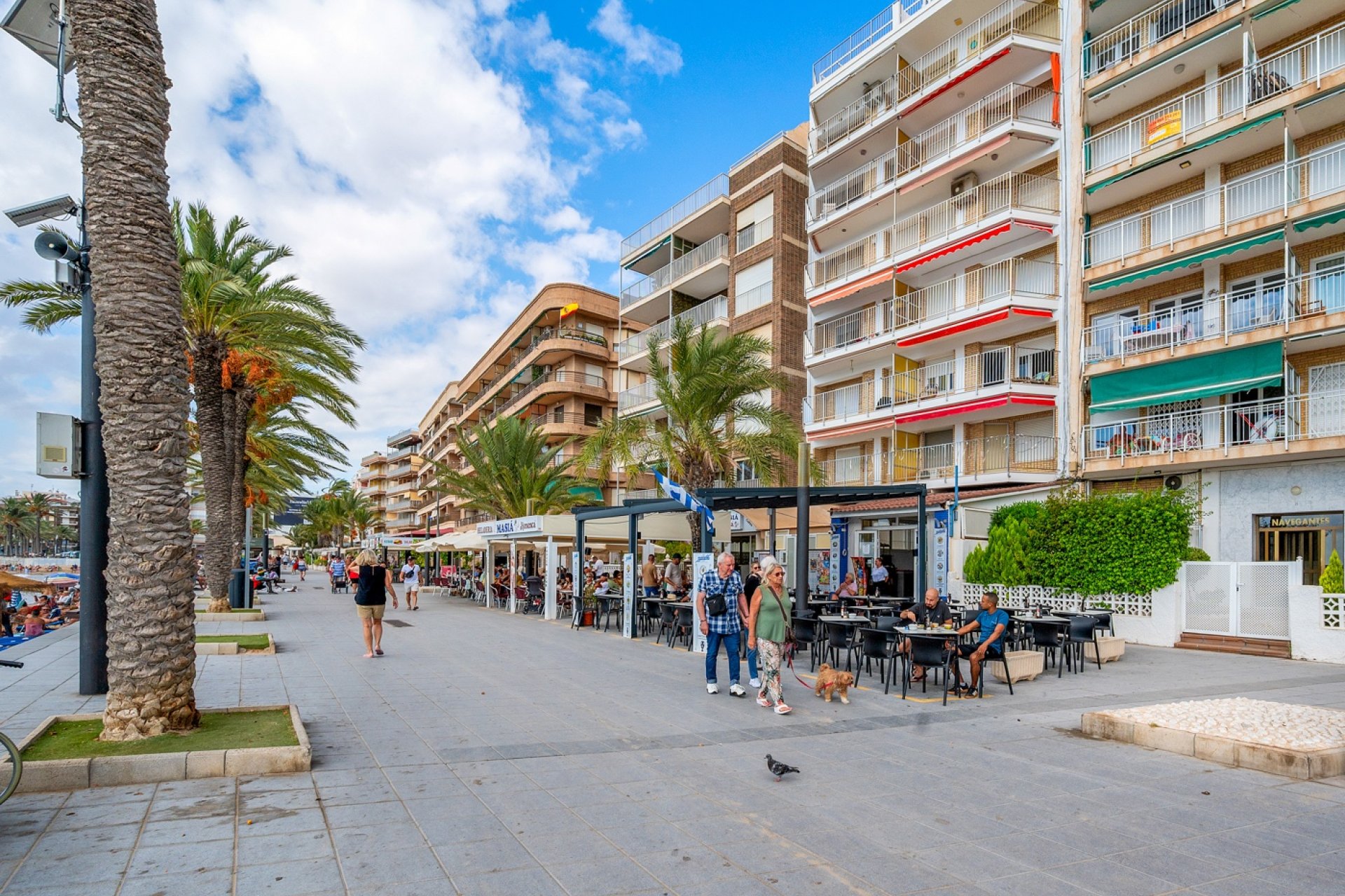 Resale - Apartament / Duplex - Torrevieja