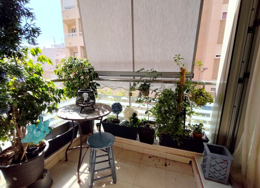 Resale - Apartament / Duplex - Torrevieja