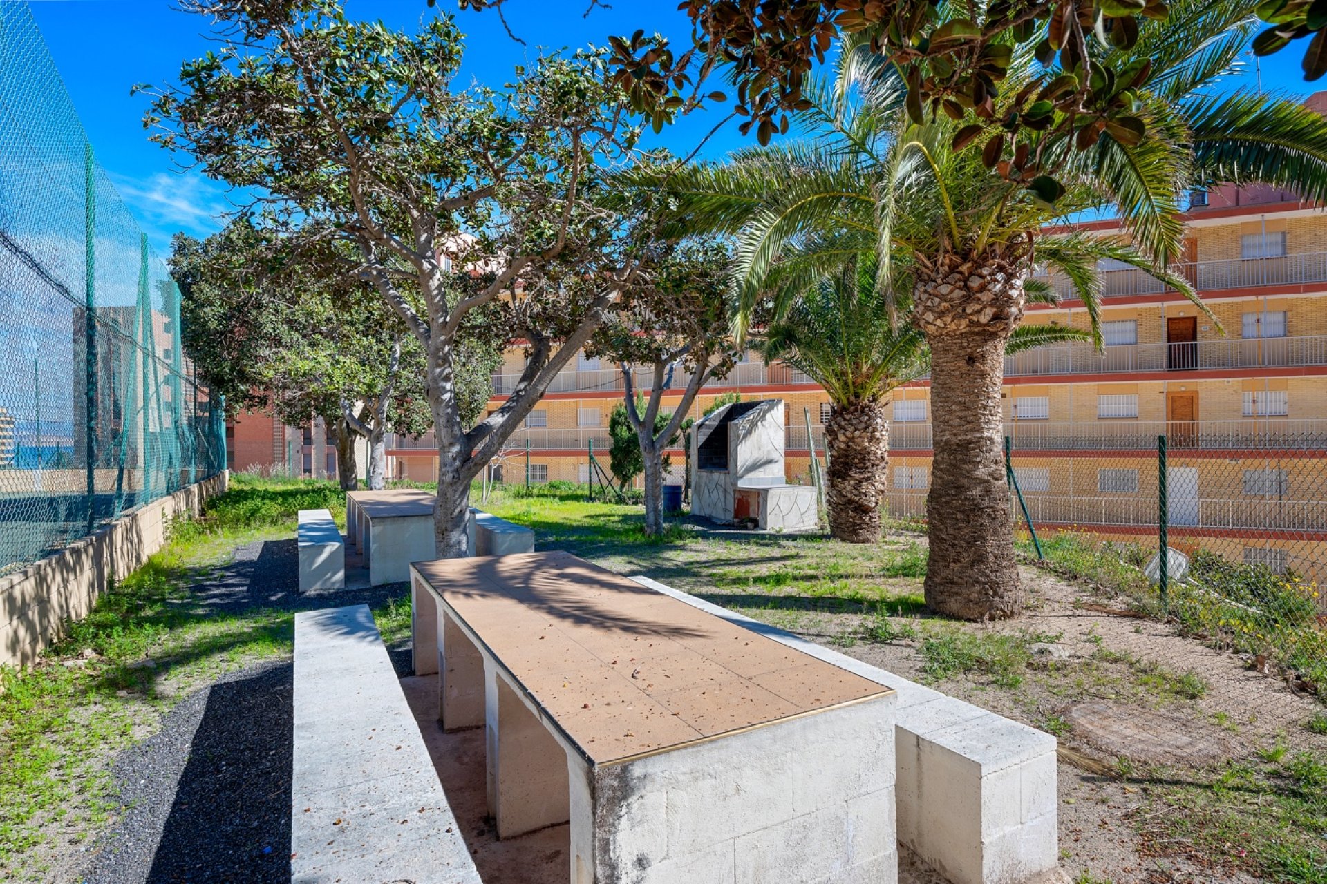 Resale - Apartment - Arenales del Sol - Segunda linea playa
