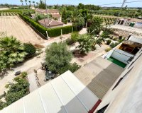Resale - Apartment - Daya Nueva