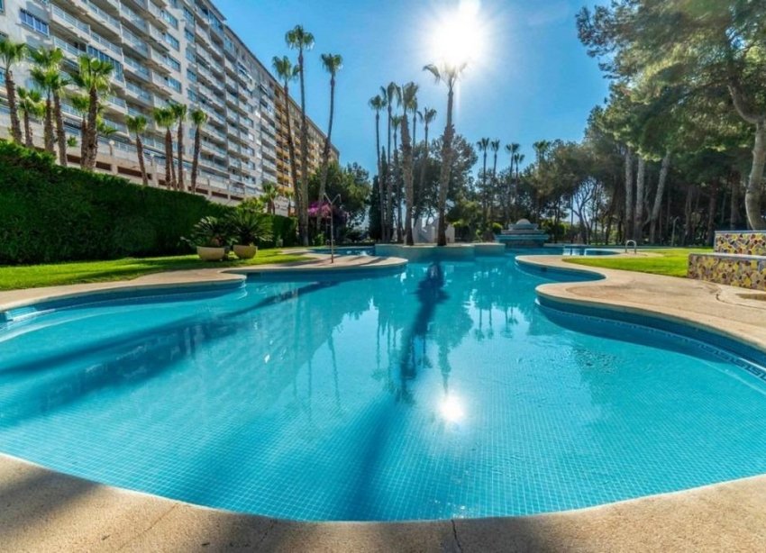 Resale - Apartment - Dehesa de campoamor - Altos de campoamor