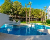 Resale - Apartment - Dehesa de campoamor - Altos de campoamor