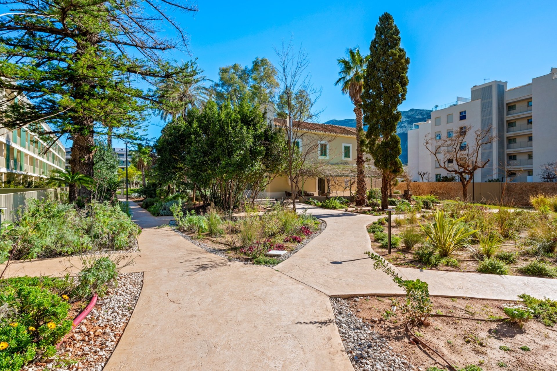 Resale - Apartment - Denia - Puerto