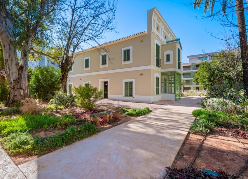 Resale - Apartment - Denia - Puerto