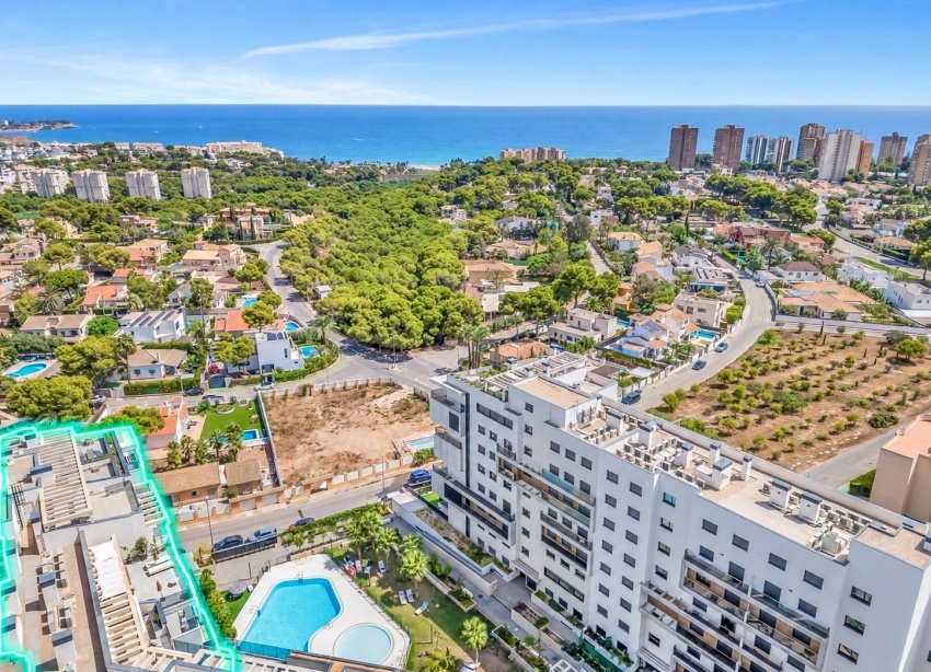 Resale - Apartment / Duplex - Dehesa de campoamor - Campoamor