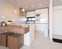 Resale - Apartment / Duplex - Guardamar del Segura - El Raso