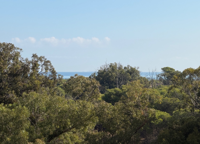 Resale - Apartment / Duplex - Guardamar del Segura - Puerto