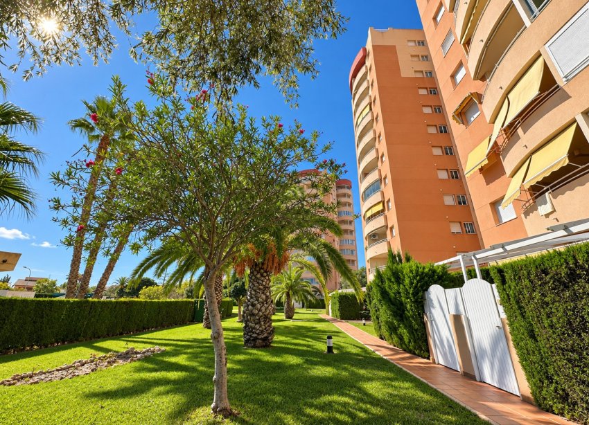 Resale - Apartment / Duplex - Orihuela Costa - Campoamor