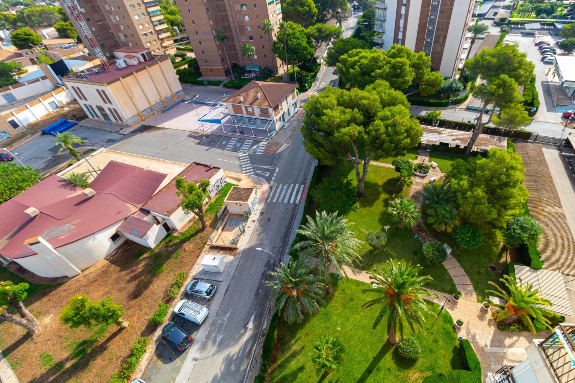 Resale - Apartment / Duplex - Orihuela Costa - Campoamor