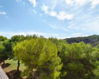 Resale - Apartment / Duplex - Orihuela Costa - Las Ramblas Golf
