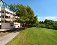 Resale - Apartment / Duplex - Orihuela Costa - Las Ramblas Golf