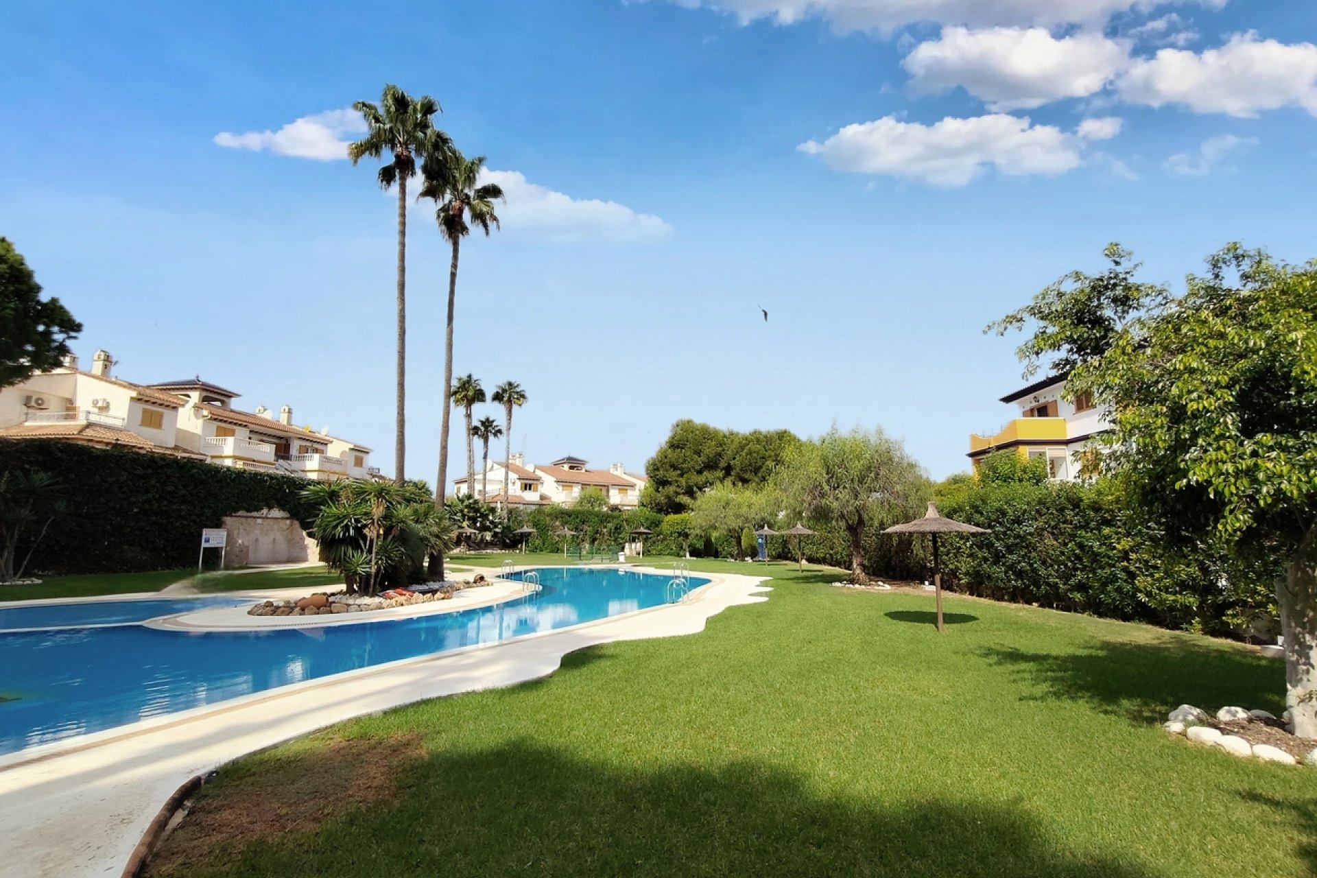 Resale - Apartment / Duplex - Orihuela Costa - Mil Palmeras