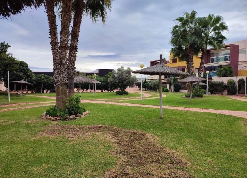 Resale - Apartment / Duplex - Orihuela Costa - Punta Prima