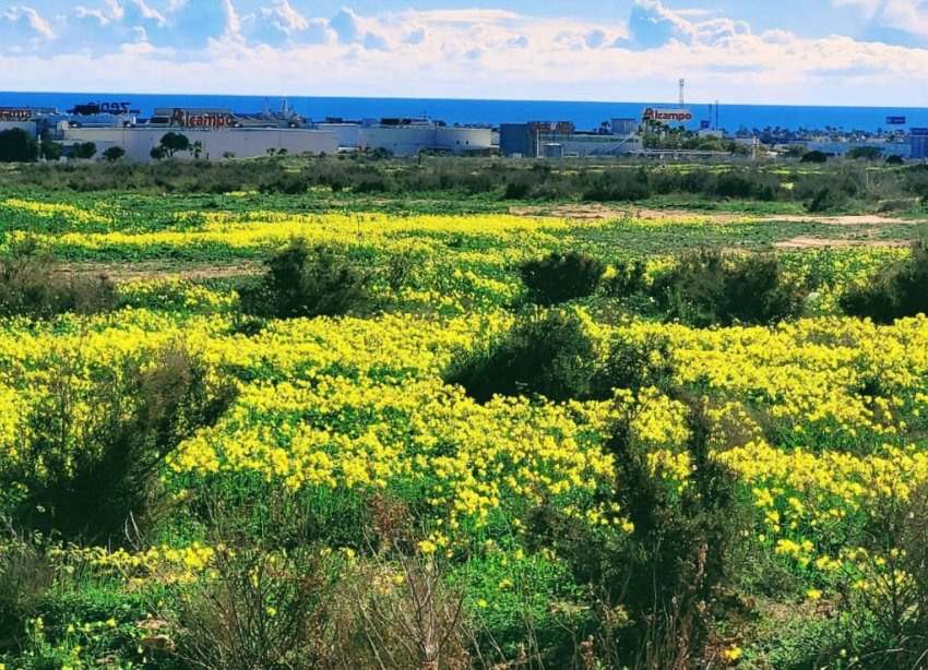 Resale - Apartment / Duplex - Orihuela Costa - Villamartín