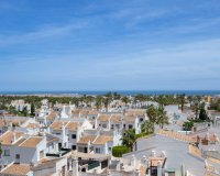 Resale - Apartment / Duplex - Orihuela Costa - Villamartín