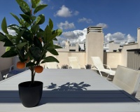 Resale - Apartment / Duplex - Orihuela Costa - Villamartín