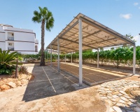 Resale - Apartment / Duplex - Punta Prima