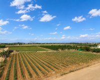 Resale - Apartment / Duplex - Rojales - Los Palacios