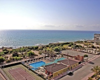 Resale - Apartment / Duplex - Torrevieja - Cabo Cervera