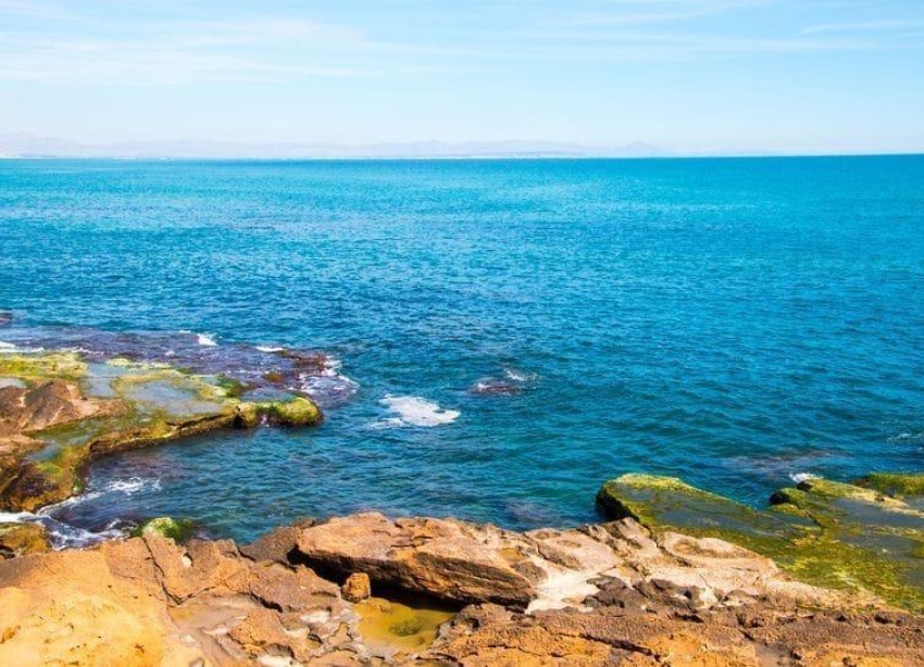 Resale - Apartment / Duplex - Torrevieja - Cabo Cervera