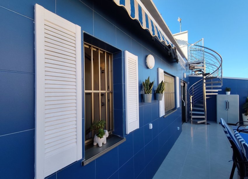 Resale - Apartment / Duplex - Torrevieja