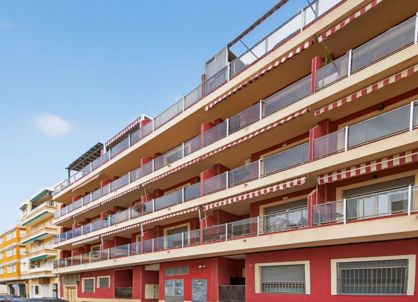 Resale - Apartment - Guardamar del Segura - CENTRO