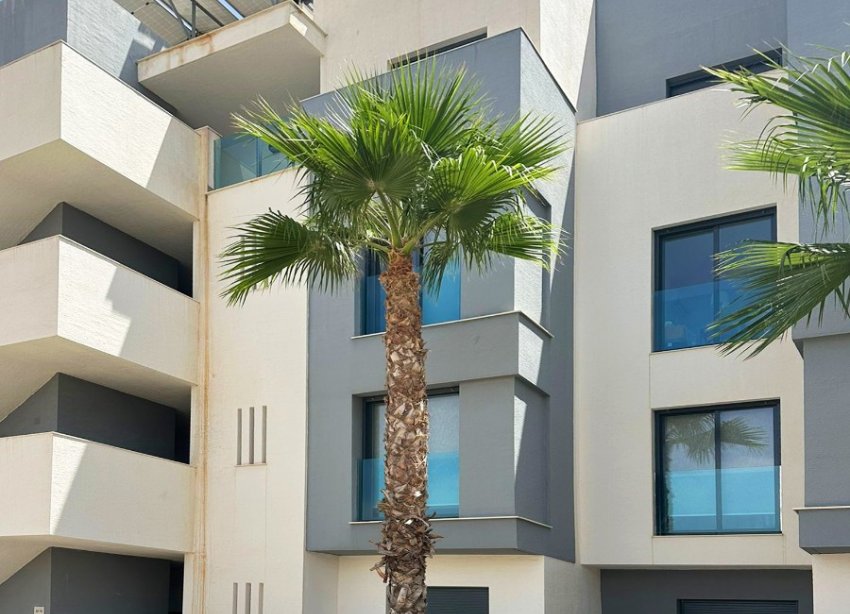 Resale - Apartment - Guardamar del Segura - El Raso