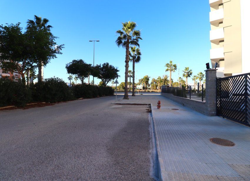 Resale - Apartment - Guardamar del Segura - El Raso