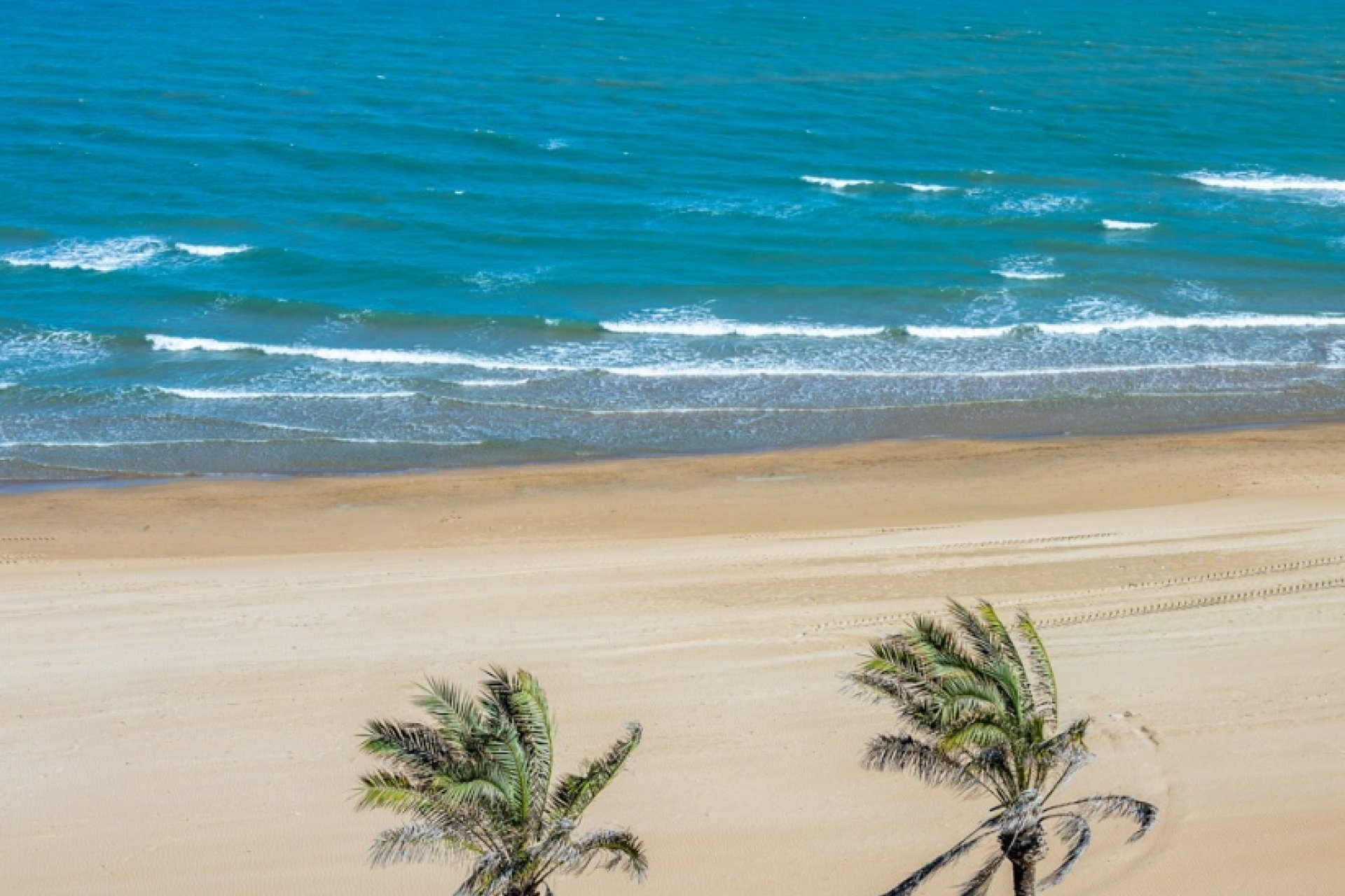 Resale - Apartment - Guardamar del Segura - Guardamar