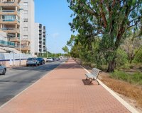 Resale - Apartment - Guardamar del Segura - Guardamar