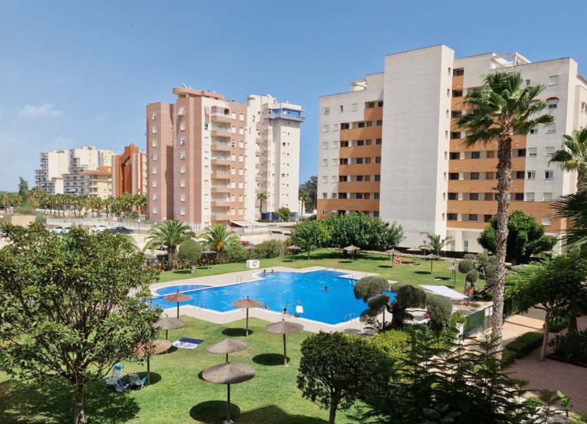 Resale - Apartment - Guardamar del Segura - Puerto