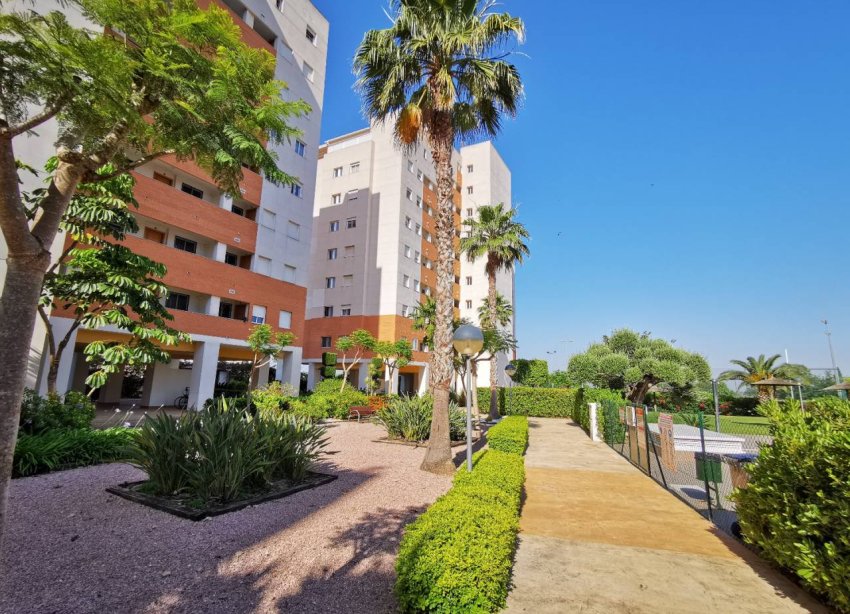 Resale - Apartment - Guardamar del Segura - Puerto