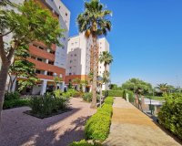 Resale - Apartment - Guardamar del Segura - Puerto