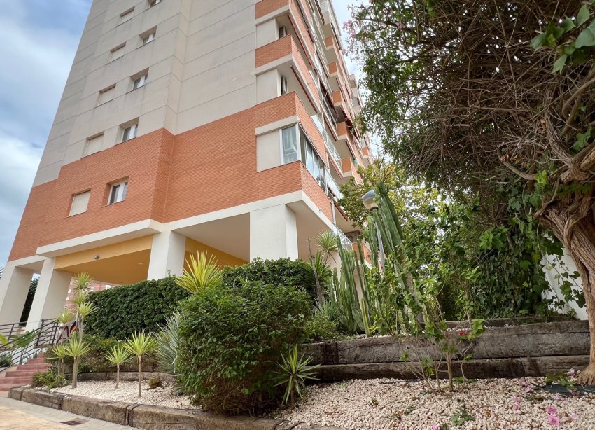 Resale - Apartment - Guardamar del Segura - Puerto